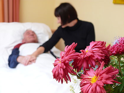 Palliative Care 